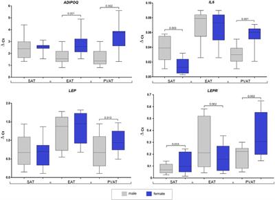 Characteristics of adipocytokine expression by local fat depots of the heart: Relationship with the main risk factors for cardio-vascular diseases